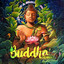 BUDDAH - remix artwork