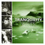 Tranquility Waves – Soothing and Relaxing Ocean Waves Sounds, Calming Quiet Nature Sounds, White Noise, Insomnia Cure, Healing Sleep Songs cover