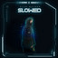 Alan Walker - Faded.flac - 2015