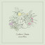 Canción Q cover