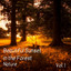 Nature: Beautiful Sunset in the Forest Vol. 1 cover