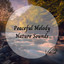 Peaceful Melody Nature Sounds Vol. 2 cover