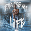 Phases of Life cover