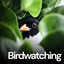 Birdwatching cover