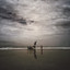 Se For... Que Seja! cover art
