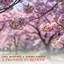 Greg Maroney & Sherry Finzer - A Promise in Bloom