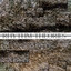 Simmetria