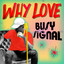 Busy Signal - Why Love