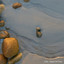 SANDS BEER - Our SANDS by Q-pid-1