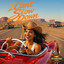 I Can't Slow Down - DuShane Band