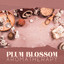 Plum Blossom Aromatherapy: Japanese Melodies for Asian Aromatherapy Massage Treatment cover
