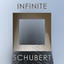 Infinite Schubert cover
