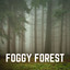 Foggy Forest cover