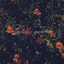 Persevere cover