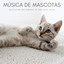 Música De Mascotas: Relajación Con Sonidos De Agua Para Gatos cover