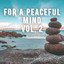 Meditation: For a Peaceful Mind Vol. 2 cover