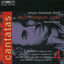 O heiliges Geist- und Wasserbad, BWV 165: Recitative. Ich habe ja (Bass) cover