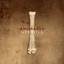 Nervosa cover