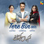 Tere Bin (Hum Kahan Ke Sachay Thy OST)