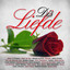 Dis Liefde cover