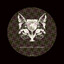 Think And See