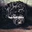 Puppy Playlist Bonanza cover
