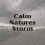 Calm Natures Storm cover