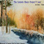 The Catholic Music Project Volume V: Lent cover