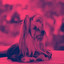 Backdrop for Dreamy Doggo cover