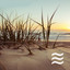 Mellow Noisy Tones of Ocean for Kids Sleep cover