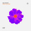 Fall in Love - Extended Mix