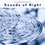 4 Sounds of Night cover