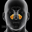 AHORA ESCUCHAS: 27 - SPOT CLINICA QUIROPRACTICA SINAI