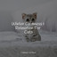 Winter Calmness & Relaxation For Cats cover