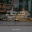 50 Soothing Sounds for Vibes & Zen and Concentration For Cats cover