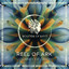 Journey of Orion - Extended Mix