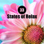 33 States of Relax: Best Songs for Sleeping, Relaxation, Calm Nature Music, Serenity and Calmness cover