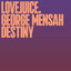 Destiny - Extended