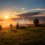 Gabriel Wheeler - Sunny Days
