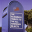 The Bluegrass Tribute to the All-American Rejects cover