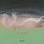 zZz Calm Soft Tides zZz cover