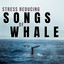 Stress Reducing Songs of Whale cover