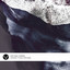 Viridiana - 12 Tones Remix