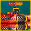 The Animeros - Descarga Royal