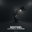 Clap Codex et Julien Riess - Sentinel