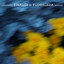 Primavera cover