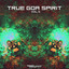 True Goa Spirit, Vol. 5 cover