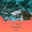 zZz Distant Streaming Tides zZz cover