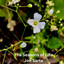 The Seasons of Life cover