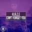 Can't Forget You cover